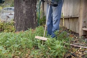 worker providing deep fertilization