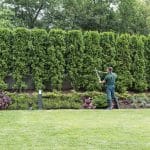 Protecting Your Green Screen: The Importance of Privacy Maintenance for 2026